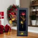 thumbnail image 2 of Rosa con ventana transparente, decoración de caja de regalo, decoraciones vívidas para el Día de San Valentín para cafetería, sala de estar, esposa, Rojo, 2 of 10