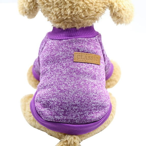 Pet clothing Autumn/winter warm two-legged hoodie dog clothing