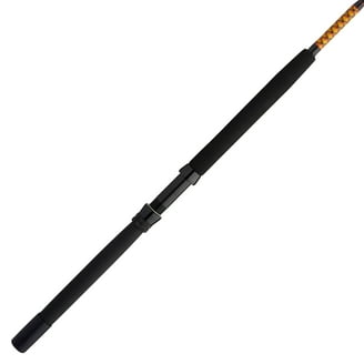 Ugly Stik Bigwater Spinning Rod, 11' Heavy Fishing Rod, 2 Piece -  Walmart.com