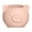 Pink, variant on Pink Pink Mini Pig Shaped Planter With Drainage Hole Cute Animals Succulents Plant Pot For Home