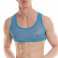 thumbnail image 6 of CENL Men See-Through Mesh Tank Top Sleeveless Muscle Undershirt Crop Tops U Neck Vest, 6 of 9