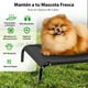 thumbnail image 5 of Cama Para Perro Magma Life Tamaño Chico, 5 of 5