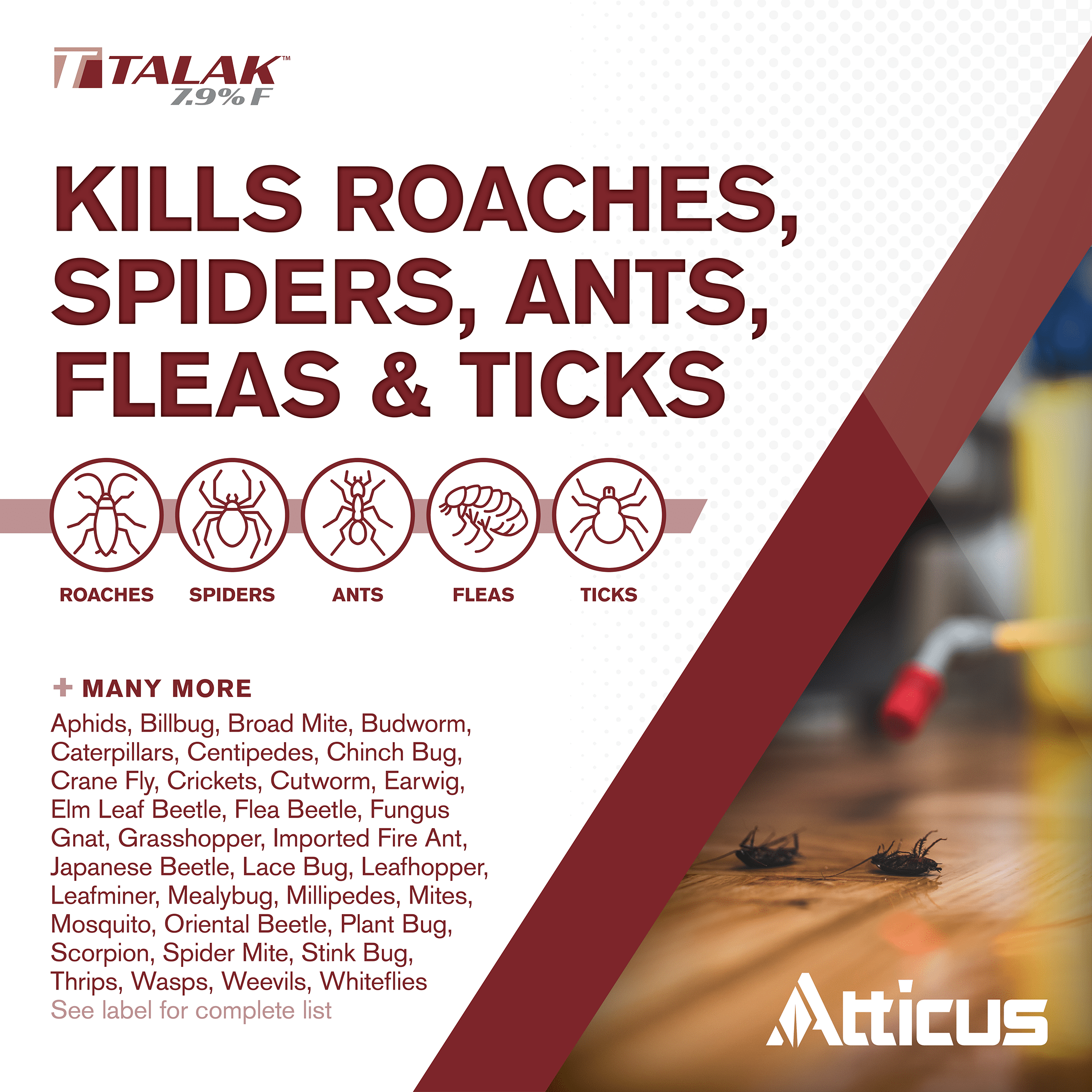 Talak 7.9 F Bifenthrin Insecticide Concentrate (96 oz) - (Compare to Talstar) – Indoor and Outdoor Insect Control - by Atticus