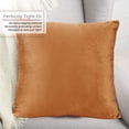 thumbnail image 4 of Nestl - Fundas De Almohada Decorativas De Terciopelo, 18.0 X 18.0 In, Suaves Y Sólidas, Fundas De Almohada Para Sofá Cama Y Coche, Juego De 2, 4 of 5