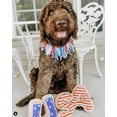 thumbnail image 4 of Midlee 4th of July Decorative Dog Bell Collar (X-Large), 4 of 6