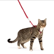 PetSafe Come With Me Kitty Harness and Bungee Leash