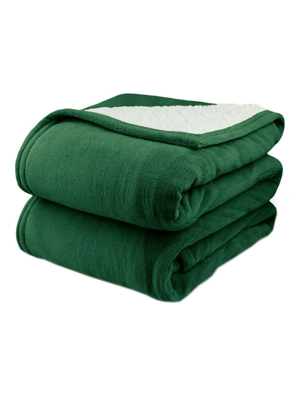 Twin Electric Blankets in Electric Blankets