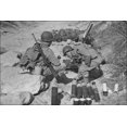thumbnail image 1 of 24"x36" Gallery Poster, 81 m m Mortar crew in action at Camp Carson, Colorado NARA 197171, 1 of 1
