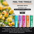 thumbnail image 2 of Xero Picks Infused Flavored Toothpicks to Help Quit Smoking - Nicotine Free (Variety Pack, Pack of 5) Non-GMO Kosher Vegan, 2 of 7