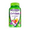 Vitafusion Chewable Calcium Gummy Vitamins, Fruit and Cream Flavored, 100 Count
