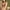 burgundy, variant on Herrnalise Women's Comfort Underwire Bra, Full Coverage Convertible T-Shirt Bra Beige