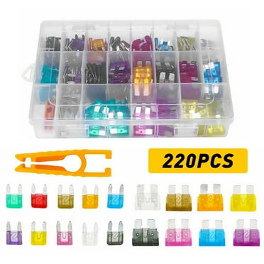 Jonce Car Fuses Assortment Kit 220Pc Standard & Mini Size (2A/3A/5A/7.5A/10A/15A/ 20A/25A/30A/35A) , Replacement Fuses for Car/RV/Truck/Motorcycle/Boat