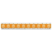 Green Lantern Blackest Night Orange Lantern Logo 12 Inch Standard and Metric Plastic Ruler