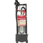 Blackburn Bicycle Foot Pump with Presta and Schrader Valves, Black
