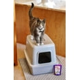 thumbnail image 5 of InClover Flow Cat Urinary Tract Support 10.5oz, 5 of 5