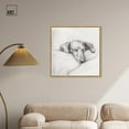 thumbnail image 3 of Doggy Daydreams I Canvas Vintage Dog Drawings by Art Remedy, Gold Frame, 30" x 30", 3 of 7