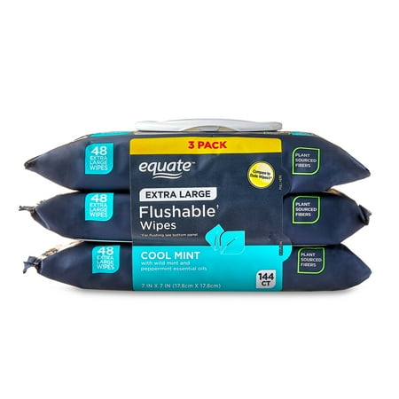 Equate Extra Large Hypoallergenic Flushable Wet Wipes, Cool Mint Scent, 144 Wipes, 3 Pack