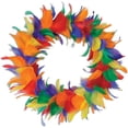 thumbnail image 1 of DDI 528216 Couronne de Plumes Lot de 6, 1 of 2