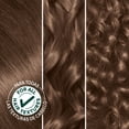 thumbnail image 3 of Garnier Nutrisse Nourishing Hair Color Creme, 060 Light Natural Brown Acorn, 3 of 10