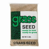 Barenbrug 7203730 Annual Ryegrass Grass Seed, 5 lbs