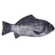 thumbnail image 1 of Pen Bag Realistic Fish Shape Make-up Pouch Pen Pencil Case With Zipper, 1 of 6