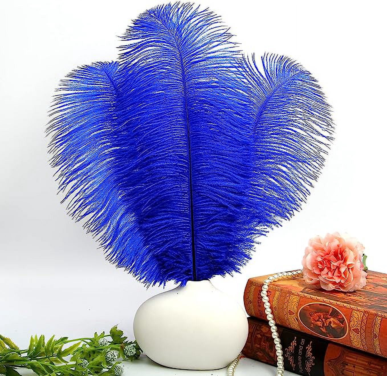 NAMZI 12pcs Blue Bulk Natural Ostrich Feathers 16-18Inch (40cm-45cm), Perfect for Wedding, Party Centerpieces, Easter & Home Decoration