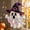 D, variant on Halloween Stained Glass Style Acrylic Suncatcher,7.8Inch Gothic Spooky Halloween Themed Hanging Decorations For Front Doors Garden Window Indoor Decor,A