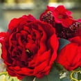 thumbnail image 2 of Enova Home Mixed Artificial Silk Peony and Hydrangea Flowers Arrangement in Cube Glass Vase With Faux Water (Red), 2 of 4