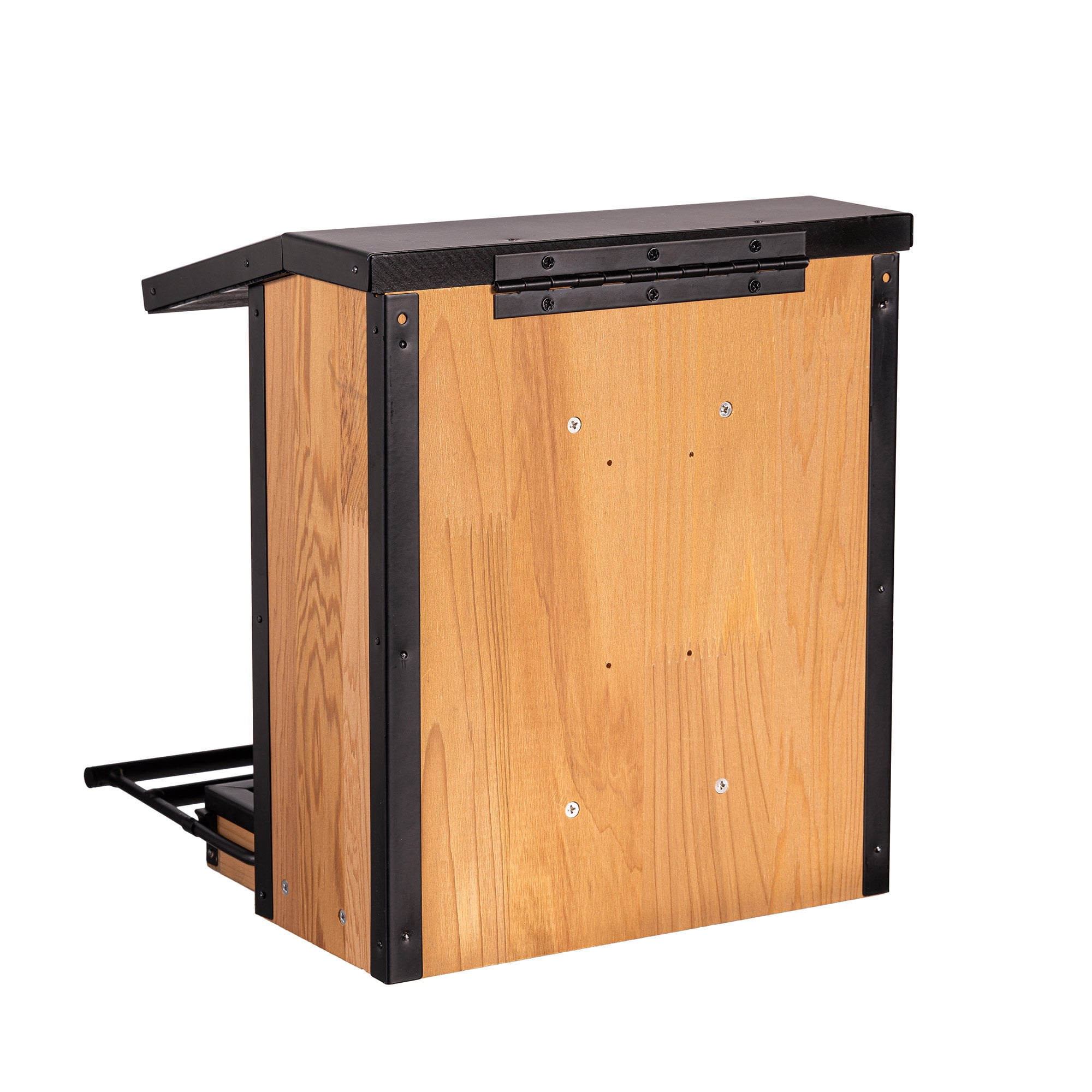 Evergreen Smart Bird Feeder with Solar Camera