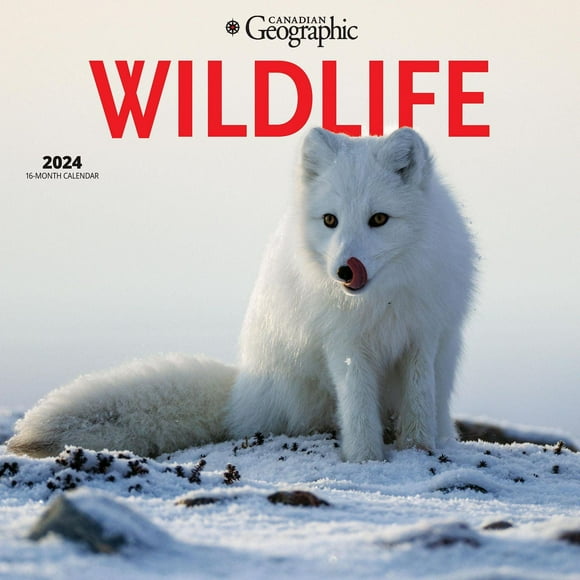 Wyman Publishing La Faune et la Flore par Canadian Geographic 2024 30.48x60.96 CM Mur Carré Calendrier, 9781525611445