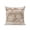Mocha Brown, variant on 1 Pack Outdoor Throw Pillow, Brown Beige Coastal Waterproof Pillow with Insert Included, Nautical Coral Starfish Shell Turtle Summer Decorative Accent Cushion Sofa Pillows for Patio Porch, 16 x 16 In
