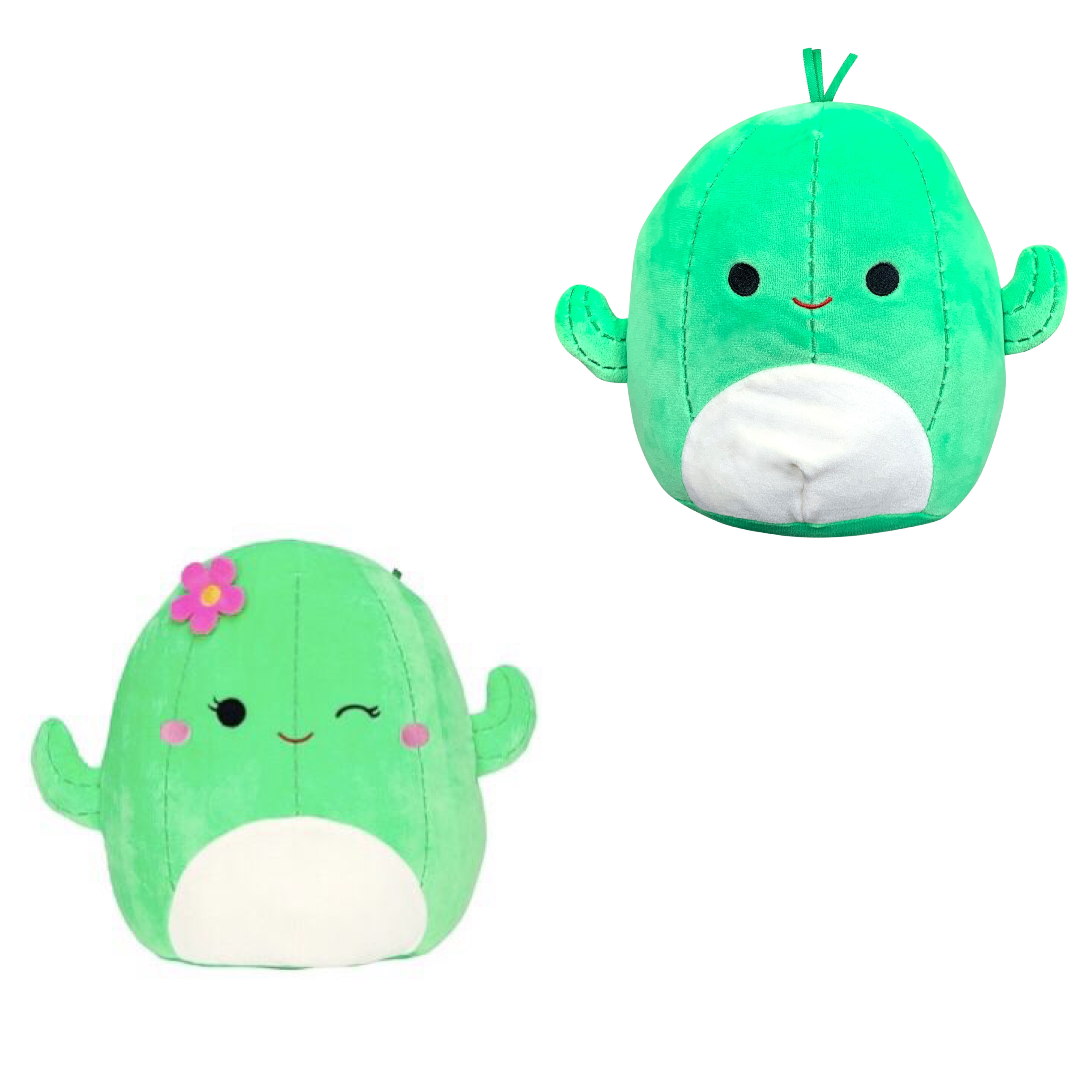 marcellus the cactus squishmallow