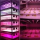 thumbnail image 1 of Luz Planta de Invernadero Crece de Crecimiento de Suculentas Energía LED para Lámpara de DYNWAVEMX LED crece la luz, 1 of 8