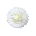 thumbnail image 1 of Advancent Flores de papel Decoraciones florales para pared Artesanía hecha a mano Doble color para decoración de fiesta de aniversario Rosa claro 25cm Artesanía Blanco Leche 25cm Advancent HA060500-19, 1 of 6