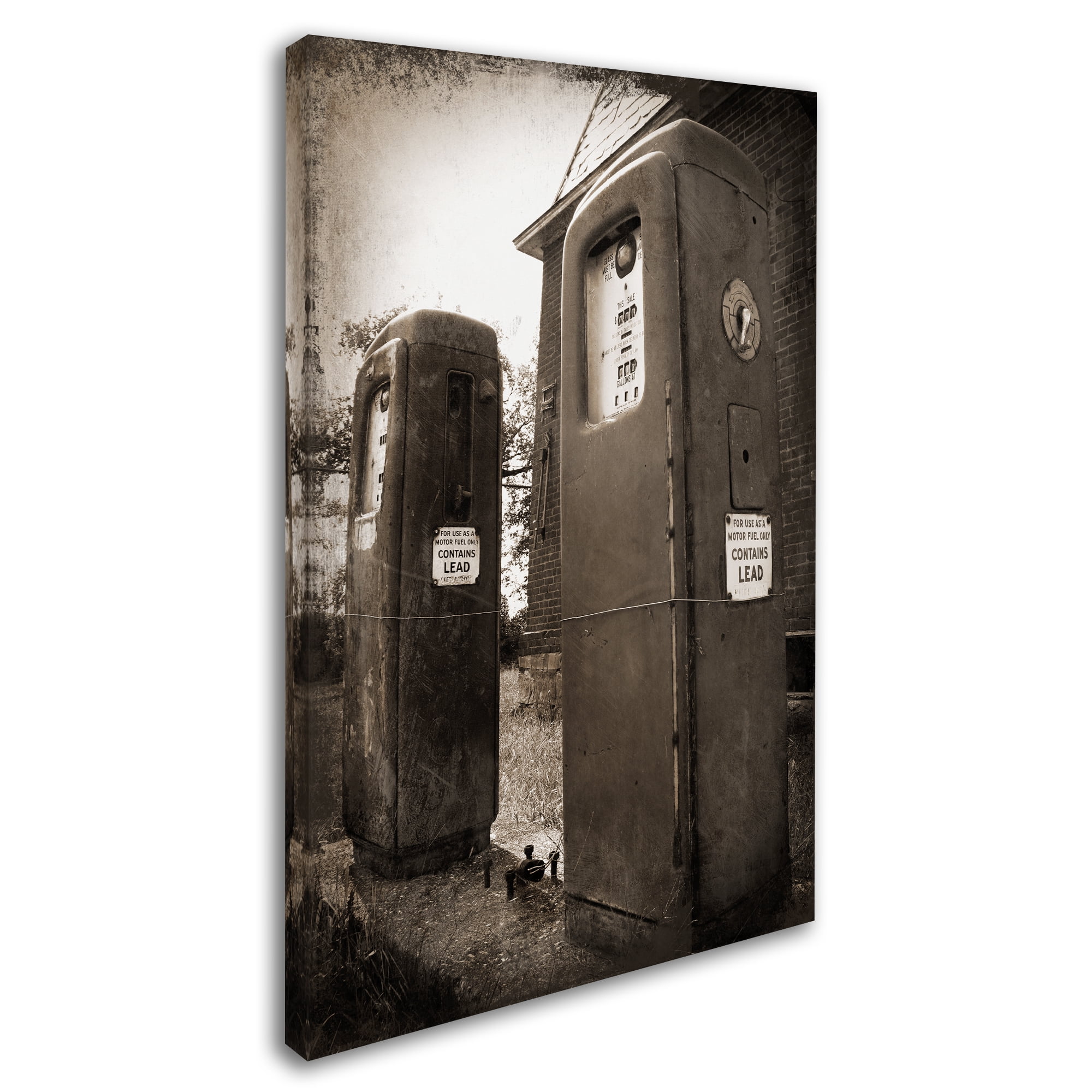 Trademark Fine Art 'Leaded' Canvas Art by Tina Lavoie