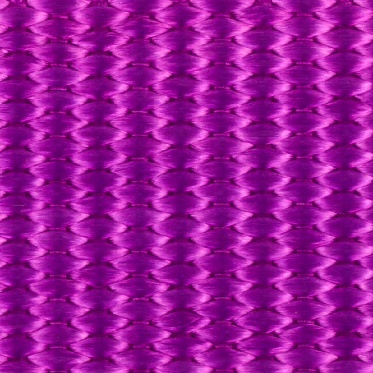 Bright Purple