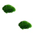 thumbnail image 2 of Inteprter Almohada musgo ecológico moño musgo para una encantadora decoración verde natural musgo decorativo verde natural Type1 NO1, 2 of 6