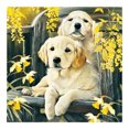 thumbnail image 1 of Taladro de pintura de diamante 5D Kits de bricolaje imagen de pared de mosaico de perros de jardín redondo completo Hugtrwg Para estrenar, 1 of 9