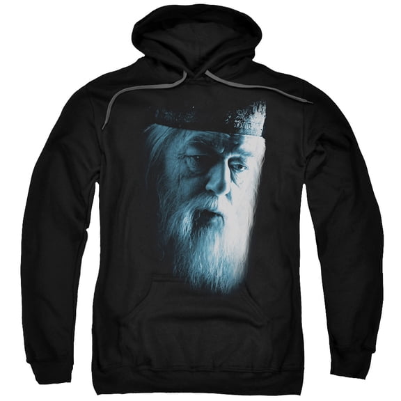 Harry Potter - Dumbledore Face - Pull-Over Hoodie - XXXX-Large