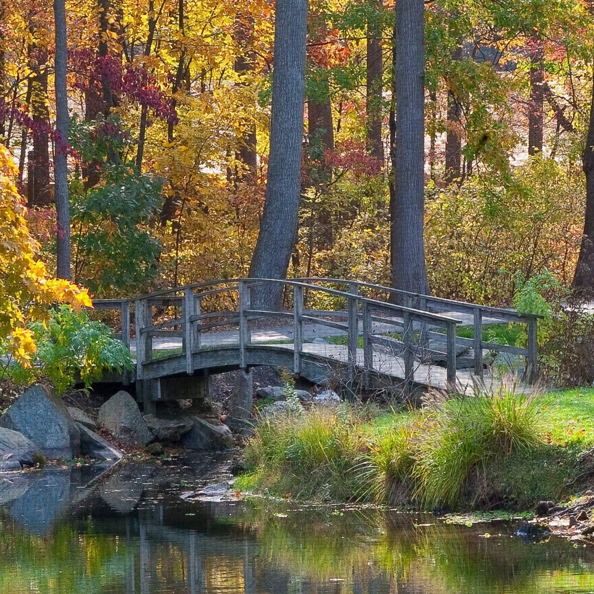 Masterpiece Art Gallery Bridge To Fall Autumn Forest By Robin Constable Hanson Canvas Art Print 30" x 40"