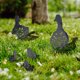 thumbnail image 5 of Decorative Garden Statue Ornament 5 Pack Black Duck Silhouette Stake For Yard, 5 of 5