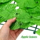thumbnail image 5 of 1 rollo de seto artificial de hiedra falsa para jardín, pantalla de privacidad, pared de enredadera para balcón, patio exterior (hojas de manzana), 5 of 7