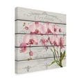 thumbnail image 4 of Trademark Fine Art Floral Canvas Art ' Pink Orchids ' by Jean Plout, 4 of 4