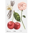 thumbnail image 4 of Perfume Zara Nude Bouquet Eau De Parfum 30 ml para mujer, 4 of 4