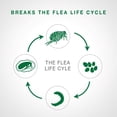 thumbnail image 3 of Advantage II Flea Treatment for Small Dogs, 3 of 8