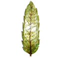 thumbnail image 1 of Eangee Home Design esh166 Feuille de Mur Grand Vert, 1 of 1
