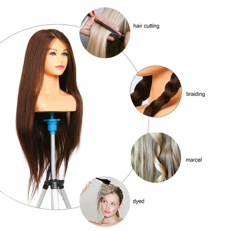 HJ Dool head Mannequin Head 100% Real Human Hair Styling Cosmetology  Manikin Doll Training Head for Hairdresser Practice Braiding Bleaching  Dyeing