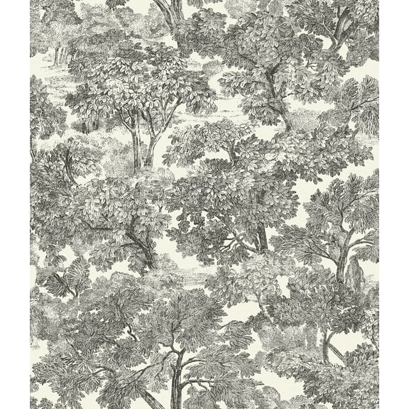 Chesapeake Spinney Black Toile Wallpaper