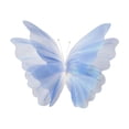 thumbnail image 3 of Mariposa de gasa, decoración para fiestas, pared falsa, accesorios para fotografía, fondo para Azul, 3 of 9