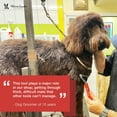 thumbnail image 3 of Dematting Rake Brush for Dogs and Cats, 3 of 8